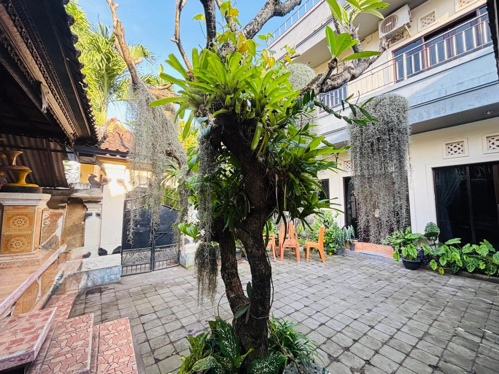 Mama Mega Homestay Pesanggaran Exterior photo